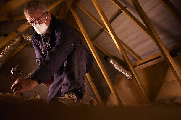 Types of Insulation We Offer in Bloomington, IN